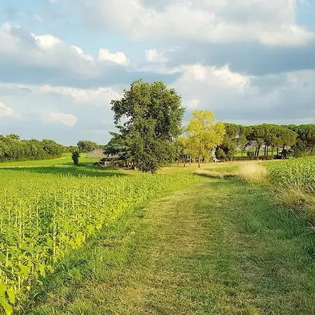 Gite De Campagne L'Estressol Cuq  Exterior foto