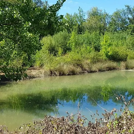 Gite De Campagne L'Estressol Cuq  Exterior foto