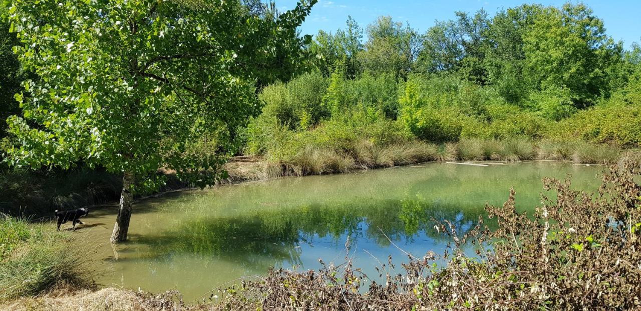 De Campagne L'estressol