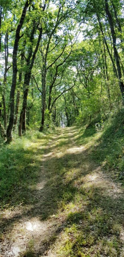 De Campagne L'estressol Ferienhaus *